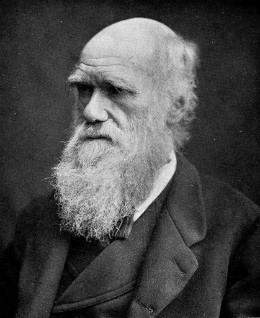 Black and white photo of Charles Darwin in later years
