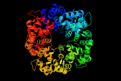 Recoverin, a calcium binding protein