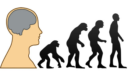 Intelligent Design and Evolution 
